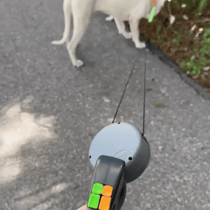 Guinzy Duo - DuoTails™